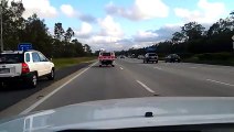Un pigeon vole à la vitesse des voitures sur l'autoroute