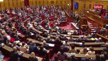 Réforme du Parlement : une « course à l’échalote » entre le Sénat et l’Assemblée ?