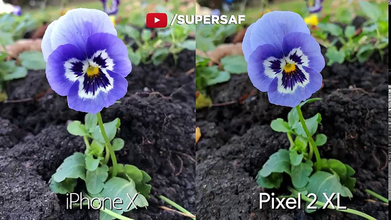 iPhone X vs Pixel 2 XL Camera Test Comparison