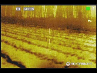 October 31, 2017, Triple Kill