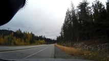 Dash Cam Captures the Moment Driver Hits Deer