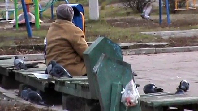 Я Гена Горин на остановке снимаю видео про голубей