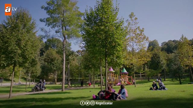 Songül ve Güney eski günlerdeki gibi! - Kırgın Çiçekler 96.Bölüm