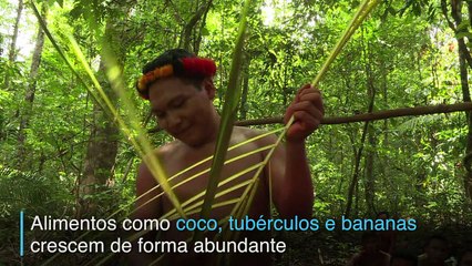 Para tribo da Amazônia, a floresta é o mundo inteiro