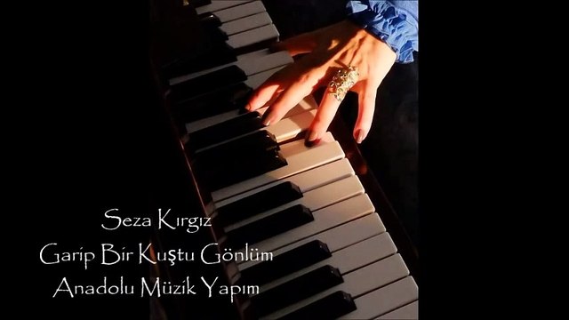 Seza Kırgız - Garip Bir Kuştu Gönlüm