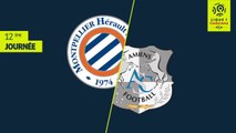 Montpellier Hérault SC - Amiens SC (1-1)  (MHSC )