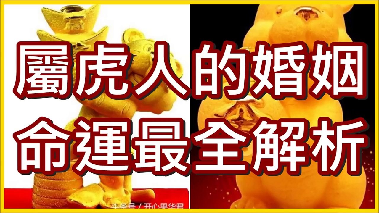 屬虎人的婚姻、命運最全解析
