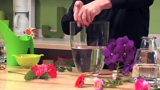 How to Arrange Flowers- Create Submerged Flower Arrangements!