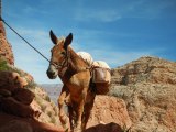 6 most dangerous hikes in Arizona - ABC15 Digital