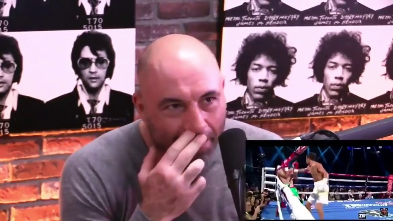 Joe Rogan on Klitschko vs Joshua fight and..Lom...