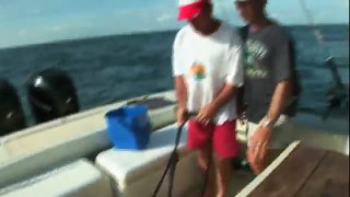 Cubera snapper, wolf fish, in French Guyana - Fishing Adventurer