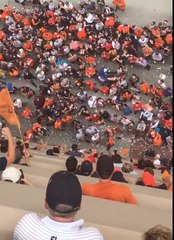 Houston Astros Fans Return Dropped Hat