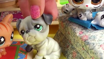 LPS Sick Baby Kitten - Mommies Part 44 Littlest Pet Shop Series Video Movie LPS Mom Babies