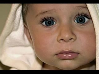 LA FAMILES KANGREROS