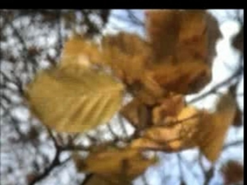 parapente Rigny le ferron - 15 novembre