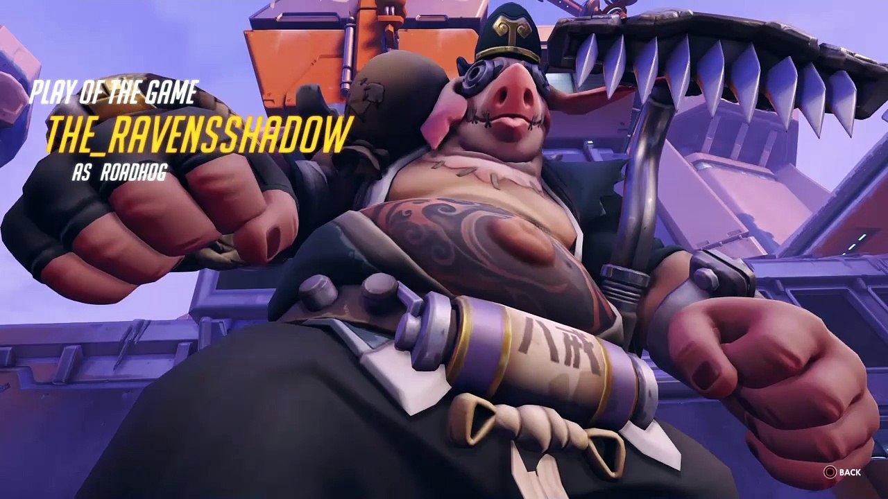 Whole hog multi