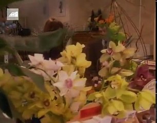 26. ΕΠΙΘΥΜΙΕΣ ΕΠΕΙΣΟΔΙΟ 22