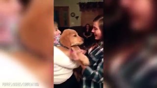 Adorable Puppy Surprises That Will Make You To Want A Puppy Compilation #64 April 2017
