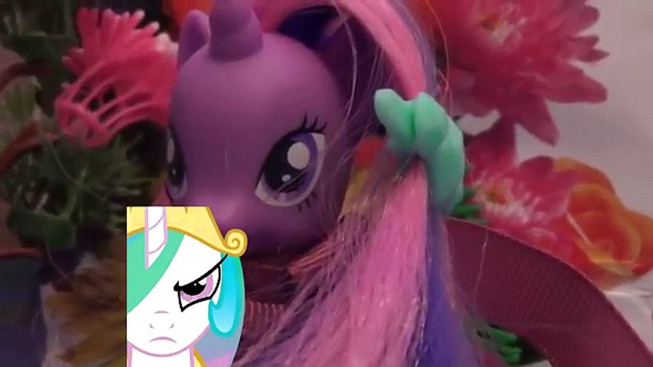 Незабываемые приключения пони (11 серия) *Пропажа Твайлайт?*