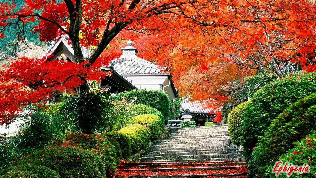 JAPAN | Life, People and Culture