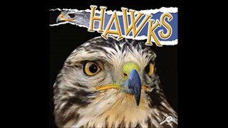 Hawks (Raptors (Rourke Library)