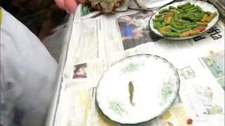 Bearded dragon eating fish