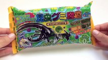 Kracie Popin Cookin Beetle, insects shaped candy 昆虫グミ図鑑 Popin Cookin Japanese Candy