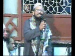 لقطات مميزة لعلماء ملهمين 🌟