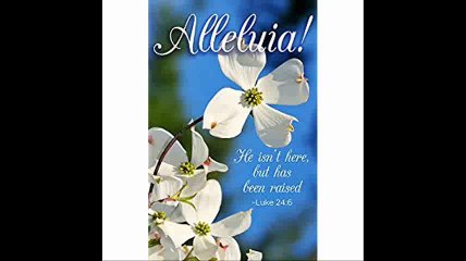 He Isn't Here Dogwood Easter Bulletin (Pkg of 50)