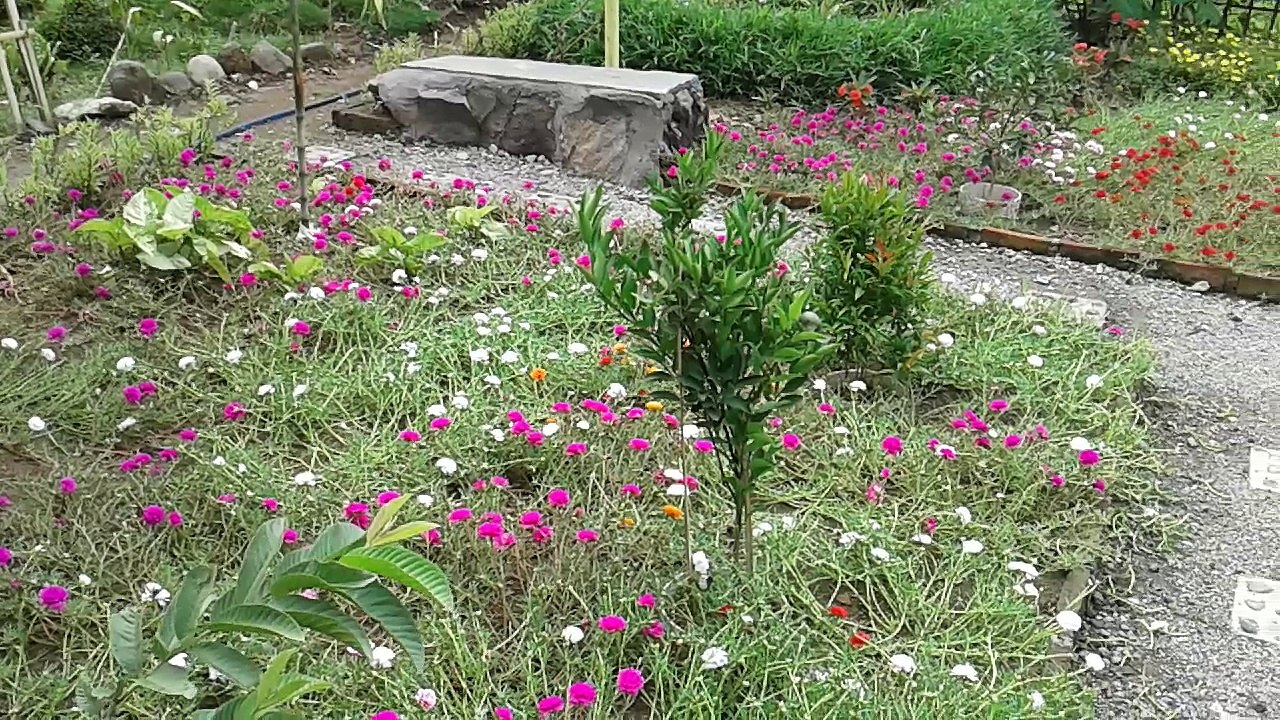 Taman Krokot