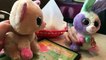 Beanie Boos: Anabelle & Bloom go to Chuys!
