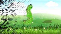 La comunidad de los insectos - Aprendamos sobre insectos (Video para niños)