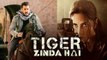 Tiger Zinda Hai Trailer | Katrina Kaif - Salman Khan BEST SHOTS & Rehearsal VIDEOS