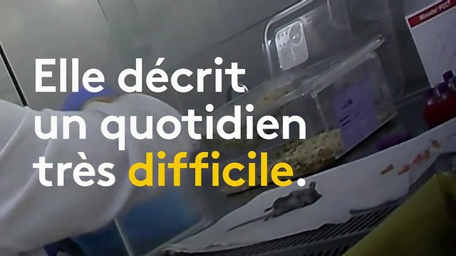Prélever du sang sans anesthésie au niveau de l'œil : une employée de laboratoire témoigne sur le sort des souris