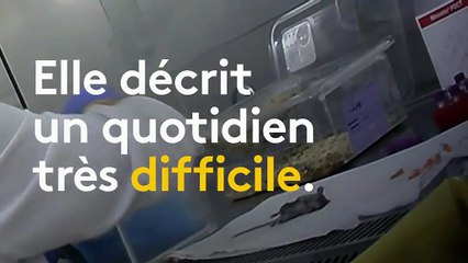 "Prélever du sang sans anesthésie au niveau de l'œil" : une employée de laboratoire témoigne sur le sort des souris