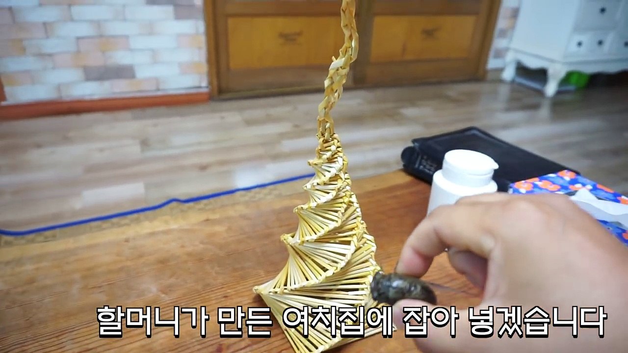 할머니방에 지네가!! 누워있는데 지네가 스~윽. 기절초풍 할머니 도와줘요!! [ 공대생네 가족 ]