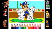 Nursery Rhymes ♫ Paw Patrol Coloring ♫ Finger Family Song for Kids 2017 ♫ Kids Games