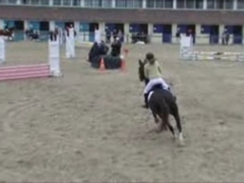 concours 2007 équitation novembre