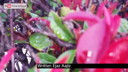 Fizai Bhoot - Smog In Pakistan Punjab  - Purisrar