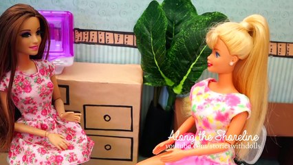 Saylor Runs for Mayor - Along the Shoreline - Episode 55 - Barbie Toys & Dolls Series