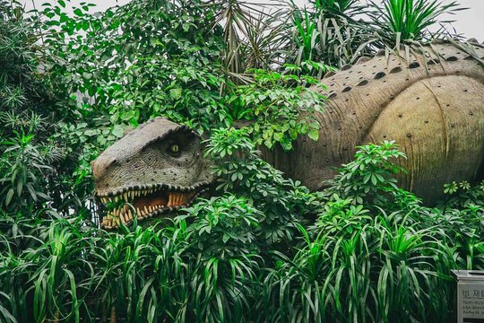 Beijing Local Shopping Mall Offers a Breathe of Fresh Air