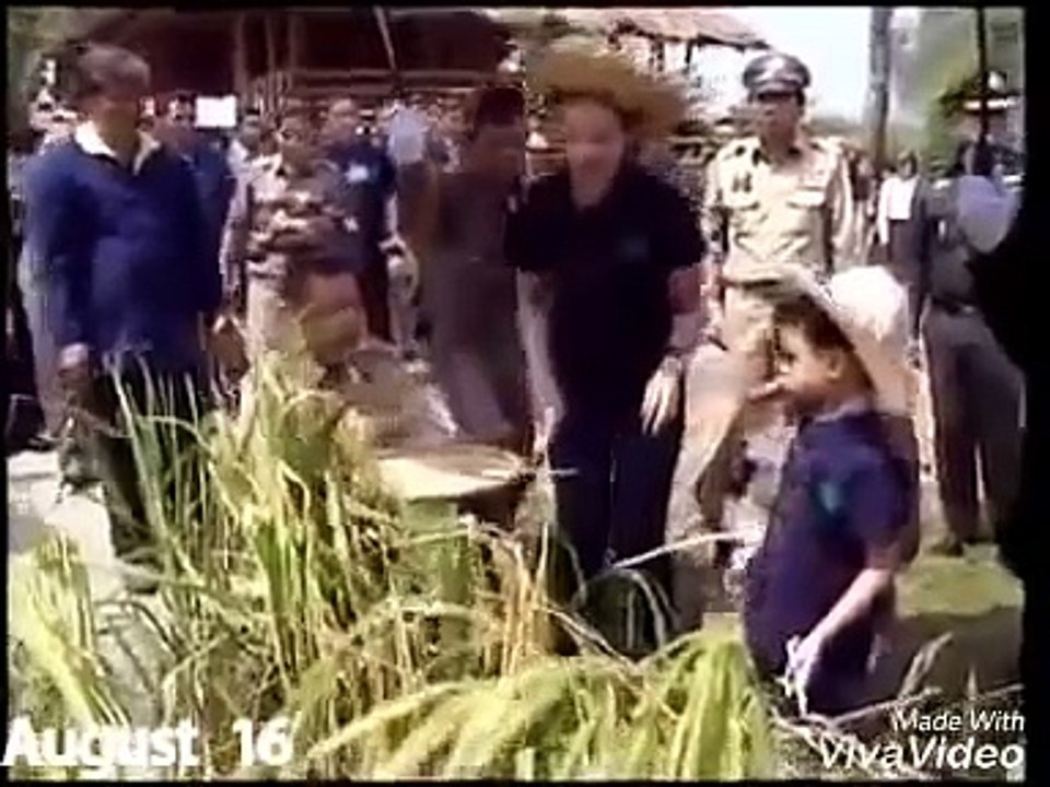 แม่ลูก"หม่อมศรีรัศมิ์"พร้อม"องค์ที" เกี่ยวข้าวที่ปลูกเองในแปลง