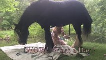 Funny Horse Video! Horse Fail! Don't watch if you are weak! Almost Kicked 6 TIMES
