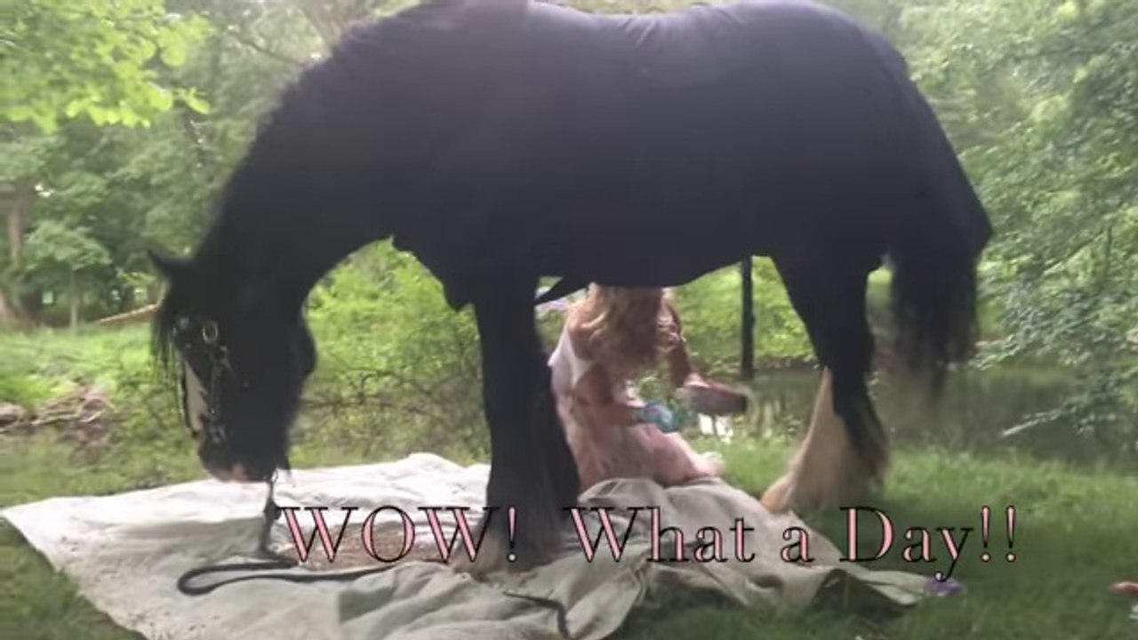 Funny Horse Video! Horse Fail! Don't watch if you are weak! Almost Kicked 6 TIMES