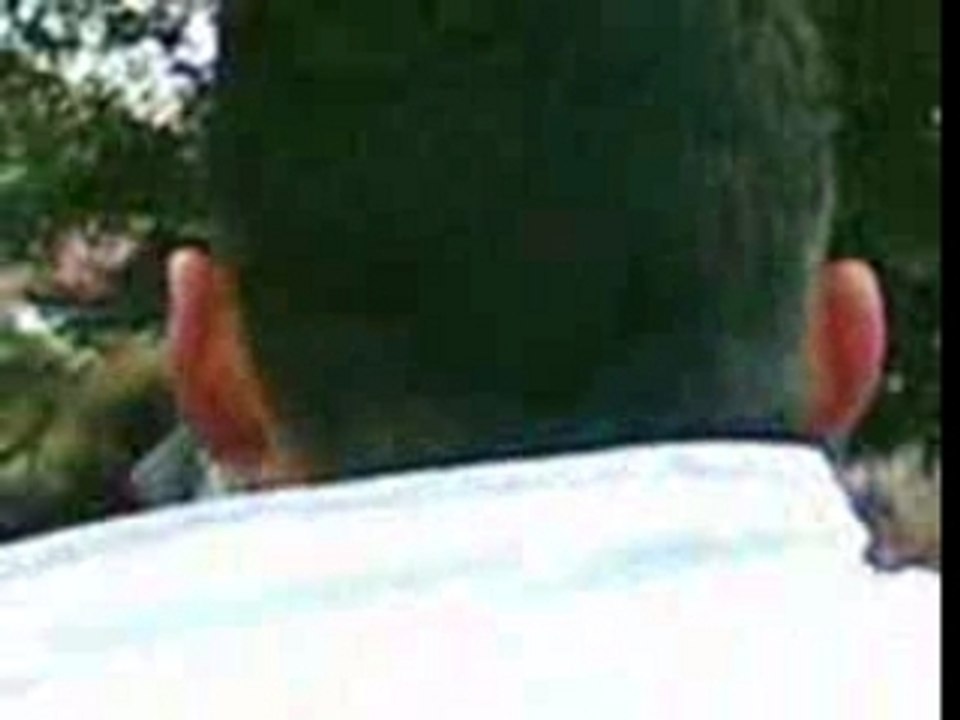 90 baston dans le bois du folereau