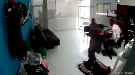 Ce chien est un vrai garde du corps !