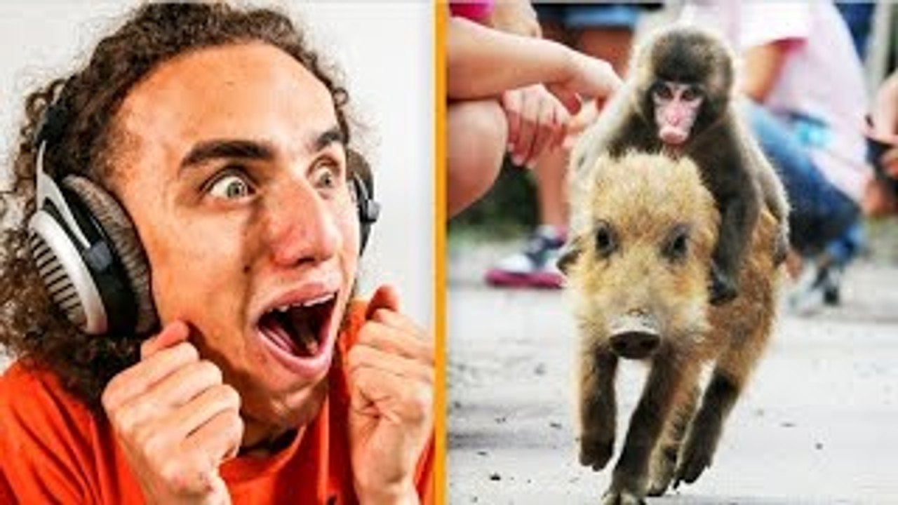 REACTING TO THE MOST WTF GIFS ON THE INTERNET!