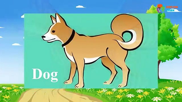 Baby Play Animal Match Up - Learn Farm Animal Names Combined Real Animals - Baby Fun Game