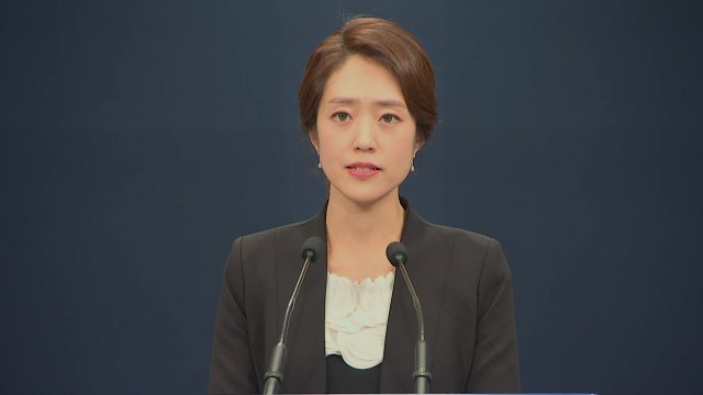 청와대, 한미 정상회담 관련 공식 브리핑 / YTN