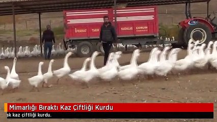 Mimarlığı Bıraktı Kaz Çiftliği Kurdu
